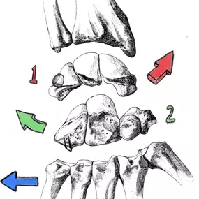 Bild von Physiotherapie Heilzentrum Bayern