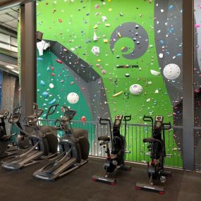 Bild von The Spot Climbing Gym