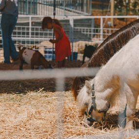 Bild von SLO Ranch Farms and Marketplace