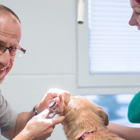 Bild von Tierärztliche Praxis für Kleintiere Dr. med. vet. Uwe Dlouhy