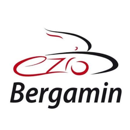 Logo von Autofficina Bergamin Ezio