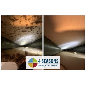 Bild von 4 Seasons Air Duct Cleaning