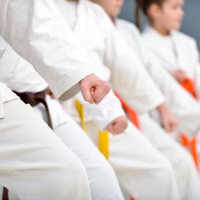 Triangle Karate offers top-notch Apex martial arts training. Enroll today at our Apex martial arts academy and start your martial arts journey.