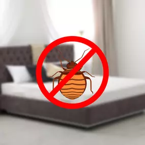 Commercial BedBug Removal and Control