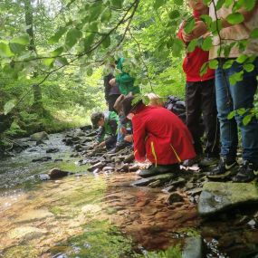 Bild von Wildnisschule Falkenauge