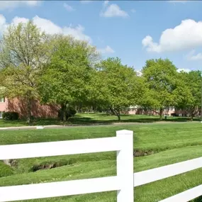 A serene green space featuring mature trees, open lawns, and classic brick apartment buildings at Country Meadows Apartments in Ypsilanti, MI.
