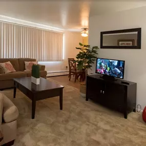 Comfortable living room with TV, seating, and pet-friendly touches at Country Meadows Apartments in Ypsilanti, MI.