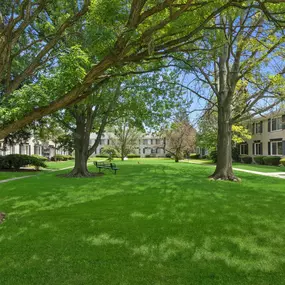 Tree-Lined Courtyard with Walking Paths at Cambridge Square