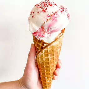 Craving a cone? We've got you covered with our delicious ice cream cones!