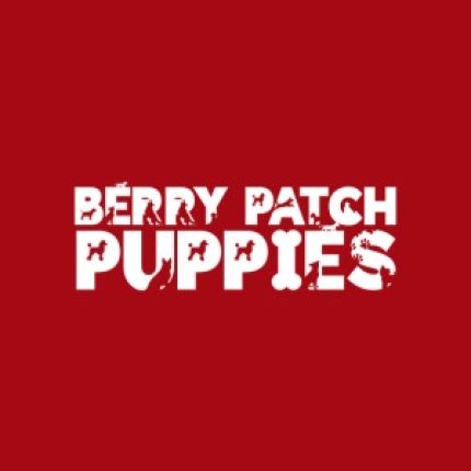 Logotipo de Berry Patch Puppies LLC