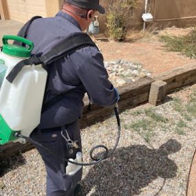 Hadlow Pest Solutions Albuquerque