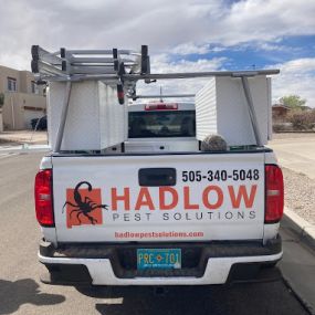 Hadlow Pest Solutions Albuquerque