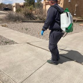 Hadlow Pest Solutions Albuquerque