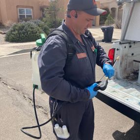 Hadlow Pest Solutions Albuquerque