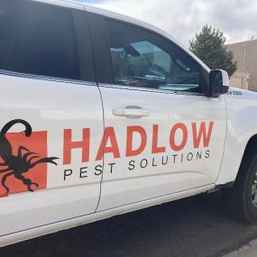 Hadlow Pest Solutions Albuquerque