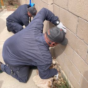 Hadlow Pest Solutions Albuquerque