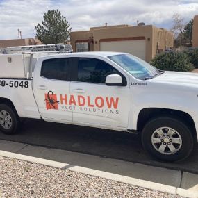 Hadlow Pest Solutions Albuquerque