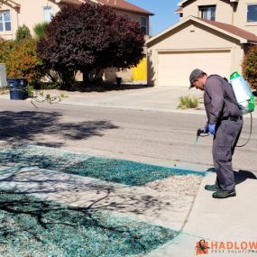 Hadlow Pest Solutions Albuquerque