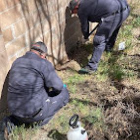 Hadlow Pest Solutions Albuquerque