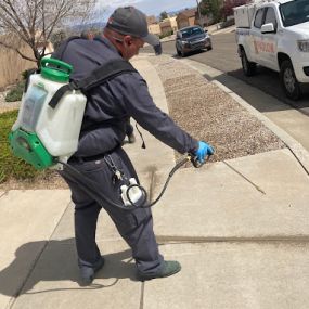 Hadlow Pest Solutions Albuquerque