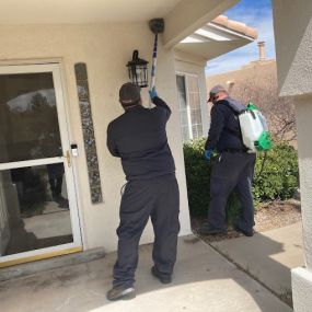 Hadlow Pest Solutions Albuquerque