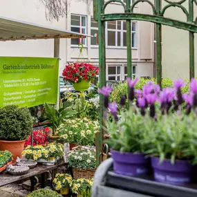 Gartenbaubetrieb Böhmer