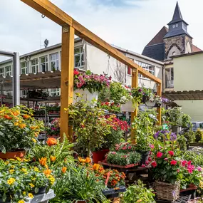 Gartenbaubetrieb Böhmer