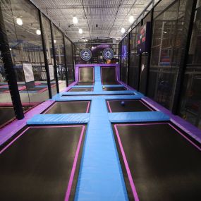 Dodgeball trampoline