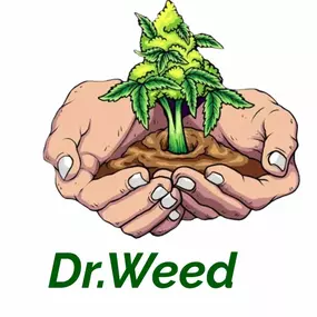 Bild von Dr.Weed growshop