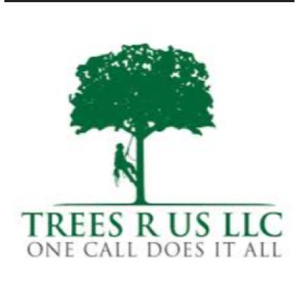 Logo from Trees - R - Me LLC