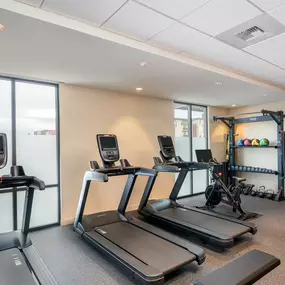 Health club  fitness center  gym