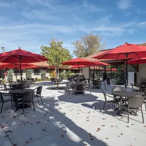 Outdoor Dining Area