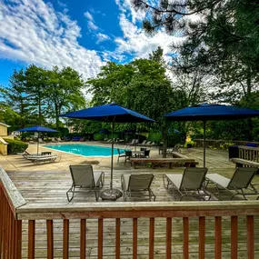 Pool and patio with chairs and umbrellas at Amberly Apartments, West Bloomfield, 48322