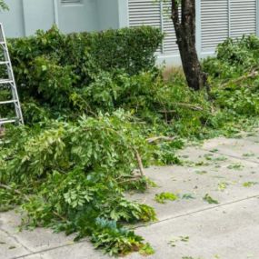 You can count on us to deliver quality residential tree services.