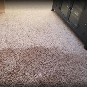 Bild von Pacific Coast Carpet Cleaning