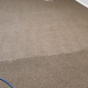 Bild von Pacific Coast Carpet Cleaning