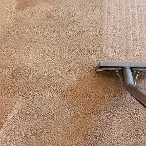 Bild von Pacific Coast Carpet Cleaning