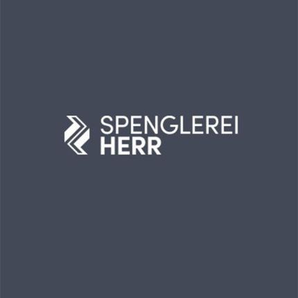 Logo de Spenglerei Herr