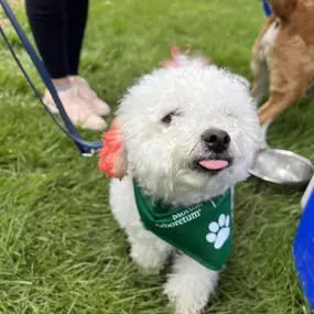 Bild von Emergency Veterinary Services of Lisle