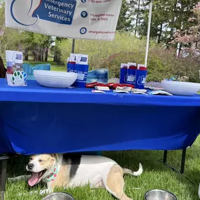 Bild von Emergency Veterinary Services of Lisle