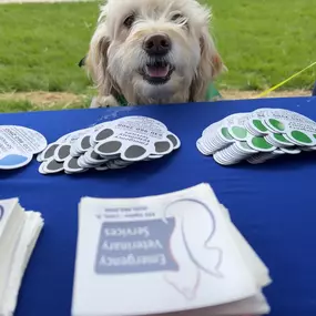 Bild von Emergency Veterinary Services of Lisle