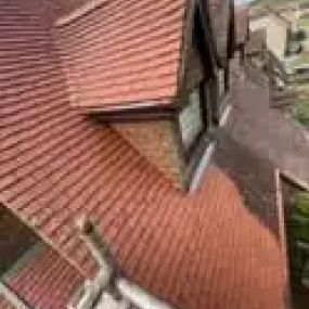 Bild von Sussex Roof Cleaning Services & Exterior Surface Care