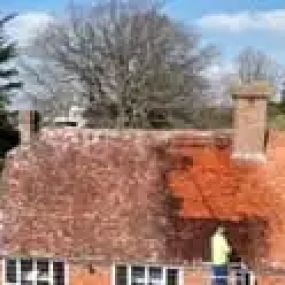 Bild von Sussex Roof Cleaning Services & Exterior Surface Care