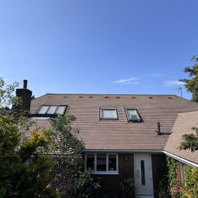 Bild von Sussex Roof Cleaning Services & Exterior Surface Care