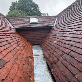 Bild von Sussex Roof Cleaning Services & Exterior Surface Care