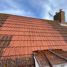 Bild von Sussex Roof Cleaning Services & Exterior Surface Care