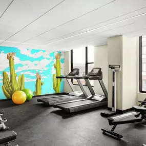 Health club  fitness center  gym