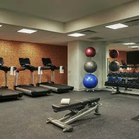 Health club  fitness center  gym