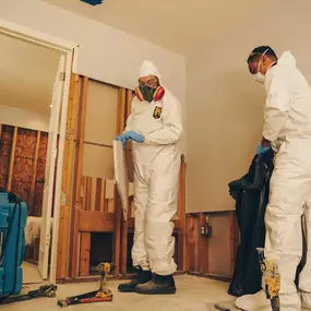 Mold Damage Restoration