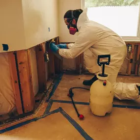 Mold Damage Restoration